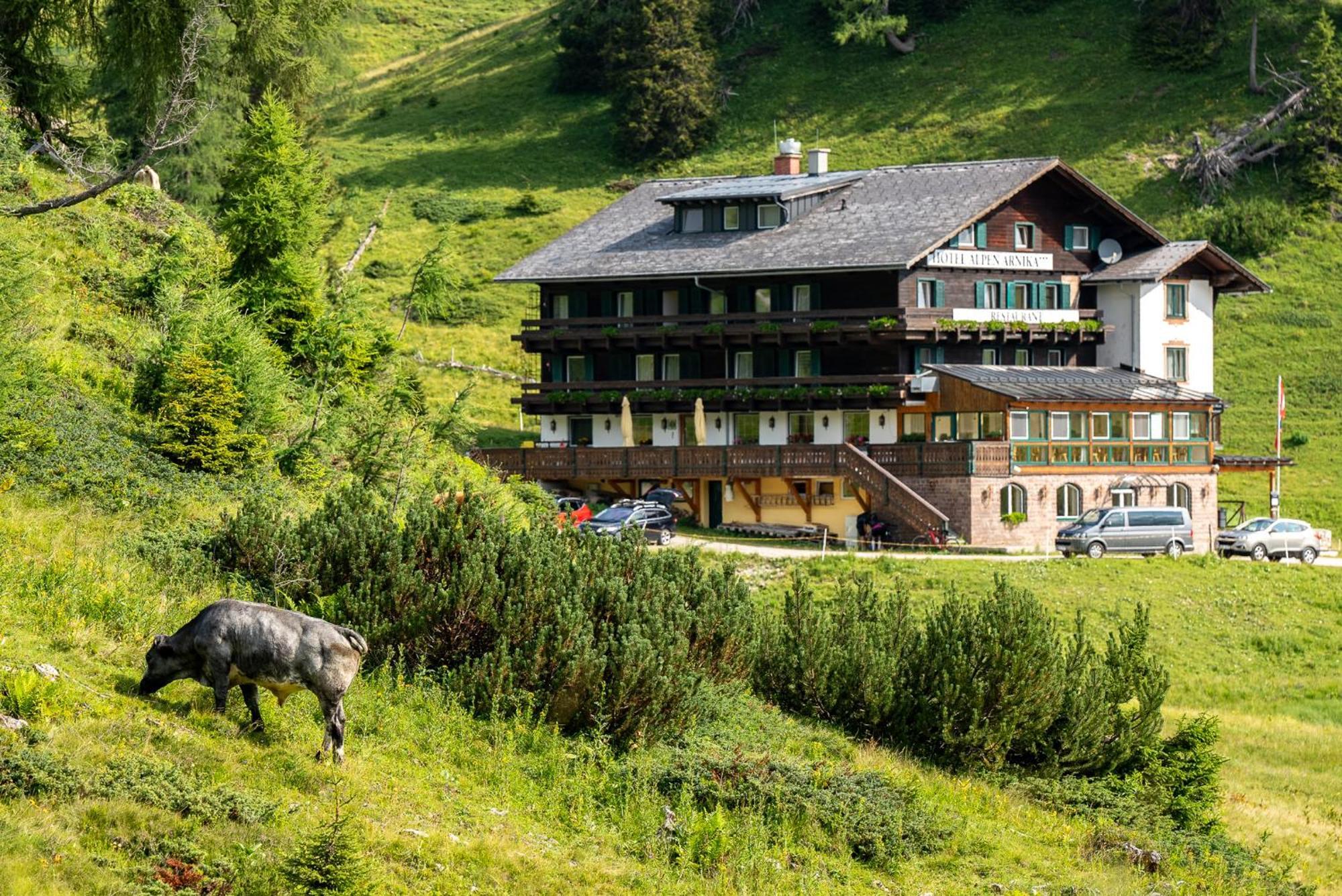 Hotel Alpen Arnika Tauplitzalm Exterior foto
